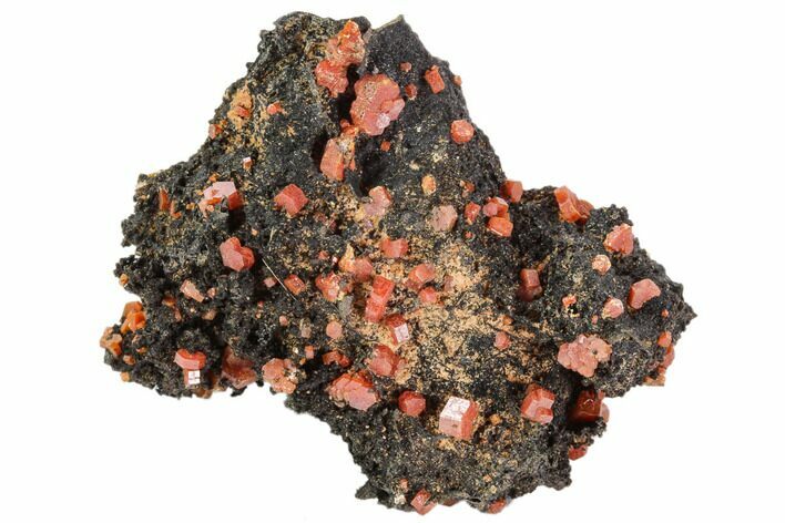 Red Vanadinite Crystals On Manganese Oxide - Morocco #103577